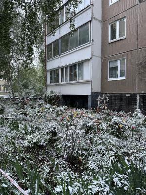 Прикрепленное изображение: 321.jpg